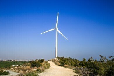 Are Tree Wind Turbines as Ugly as their Big Brothers?