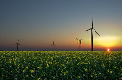 Renewable Energy Revolution Gains Momentum  
