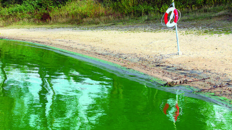 Phosphate in Groundwater and Surface Water A Rapid and Reliable Determination Method using the Photometric Spectroquant® Test