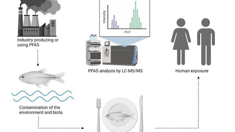 Occurrence of PFAS in a variety of fish species from the Baltic Sea and ...