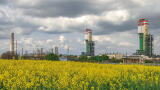CEM for N2O emissions control from ammonia-fired power generation