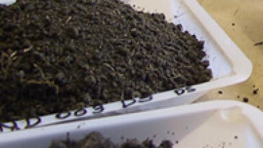 Assessing the Potential for In Situ Biological Remediation