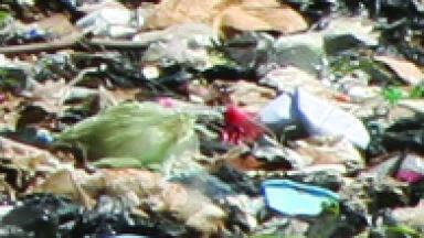 Municipal Waste Management Report