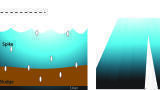 Sludge Reduction in Municipal and Pulp & Paper Lagoons