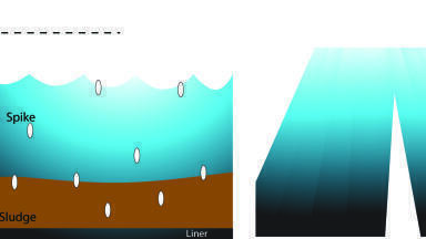 Sludge Reduction in Municipal and Pulp & Paper Lagoons