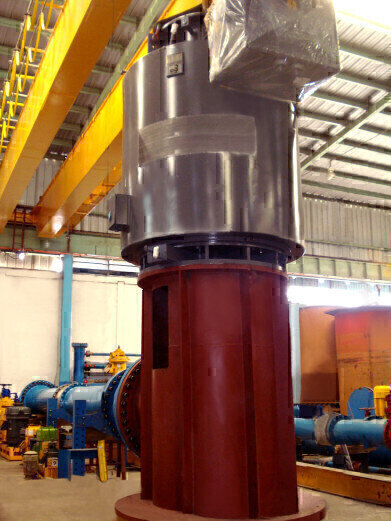 Multistage Vertical Pump