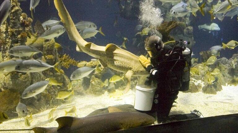 Purification Plant to the World’s Most Spectacular Aquarium