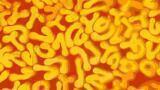 Superior Fibres for High Temperature Gas Filtration