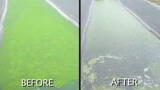 Ultrasonic algae control system