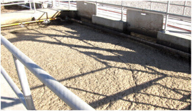 Microcat-DF Reduces Foaming at Municipal Wastewater Treatment Plant