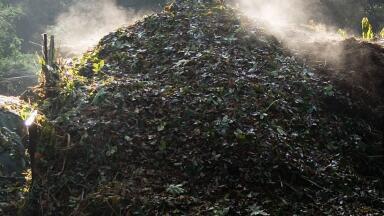 Confusion between ’Oxo’ and ’Hydro’ In Study of Biodegradable Plastics in Landfill