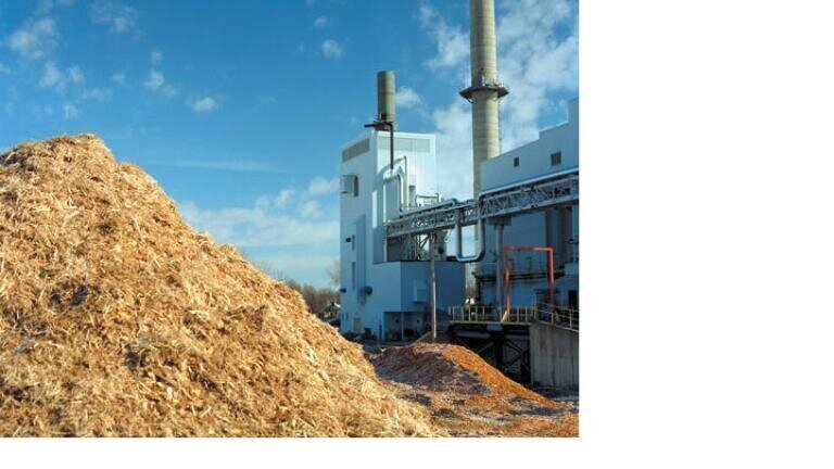 Biomass an Essential Part of Scotland’s Green Energy Mix