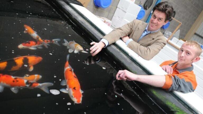 CBIO’s Solution Transforms Toxic Ponds Into Safe Havens