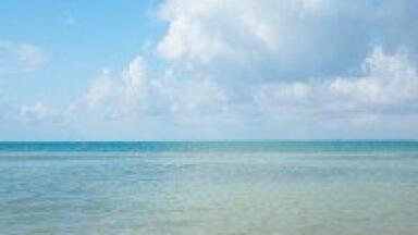 France urged to take water clean-up action
