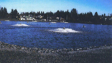 Cold Weather Nitrification Improved with Microcat Use