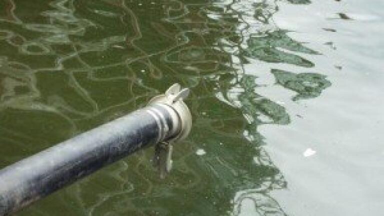 'Too many' harmful chemicals in European rivers