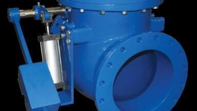 The Swing Check Valve