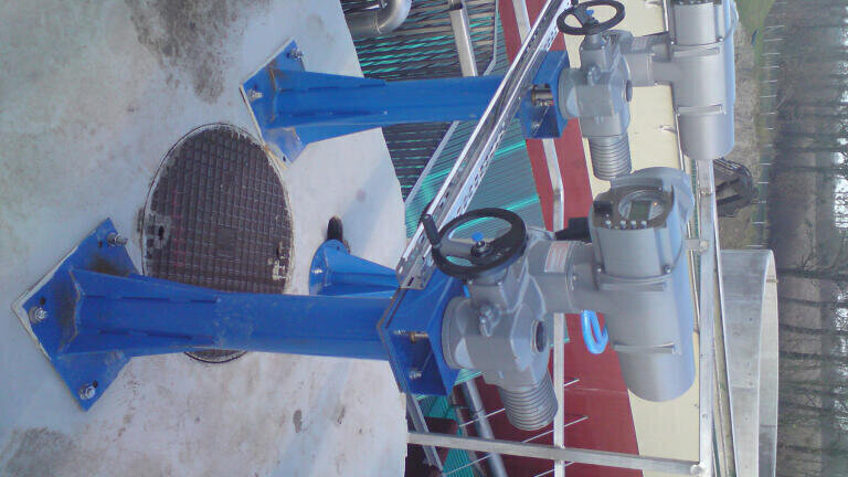 STP Supported by Modular Solution