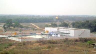 Pineapple Producers Grow Green Energy