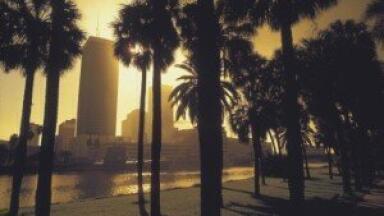 Inner-city vegetation 'significantly improves' air quality