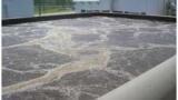 Microcat-SR Reduces Sludge Concentrations in a Municipal Wastewater Treatment Plant