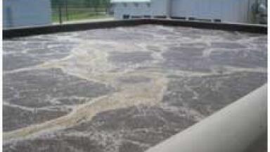 Microcat-SR Reduces Sludge Concentrations in a Municipal Wastewater Treatment Plant