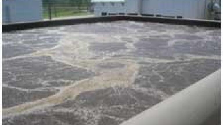 Microcat-SR Reduces Sludge Concentrations in a Municipal Wastewater Treatment Plant