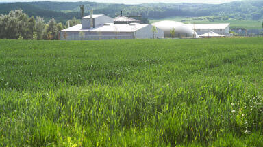 Green Solutions from Green Company