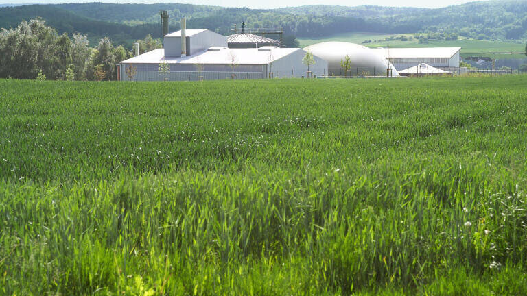 Green Solutions from Green Company