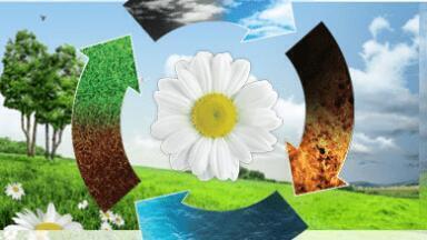 Why WasteTech-2013?