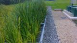 Natural Wastewater Solutions Chosen for Thames Water Treatment