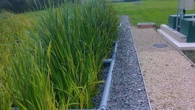 Natural Wastewater Solutions Chosen for Thames Water Treatment