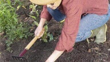 EPA has decided to remove contaminated soil