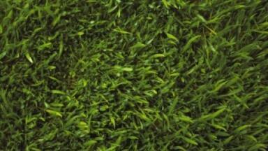 Former US military bases providing soil remediation education