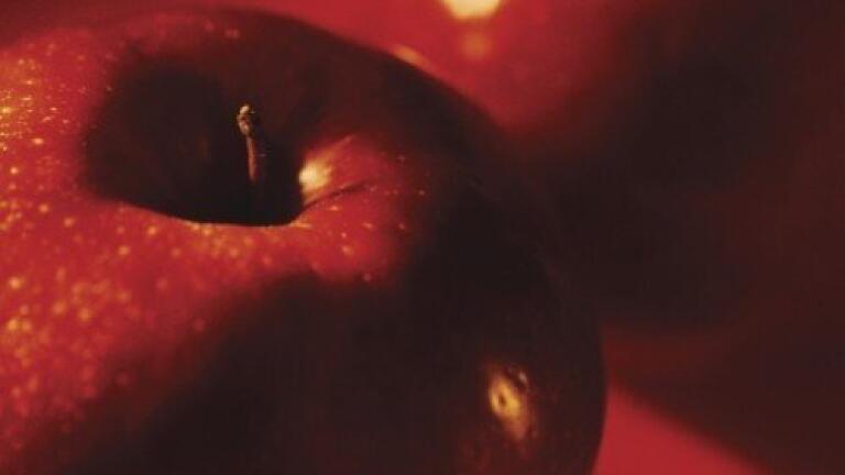 Indian apple farmers are being hit by climate change