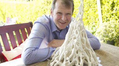 Termite Technology to Shape New ‘Breathing’ Buildings