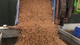 Pet-food waste to AD/Biogas