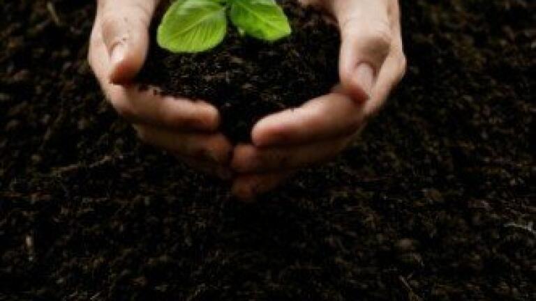 Kentucky's largest soil remediation project planned to start next month