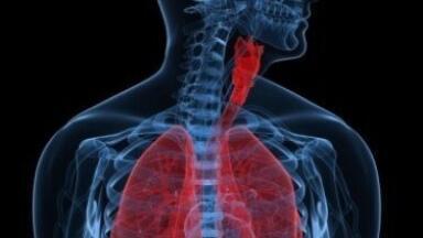 Studies link air pollution to heart failure and lung cancer