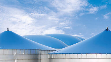 Market Entry in Belgium Biogas Plant