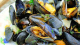 Waste Seashells can Solve Waste Water Problem