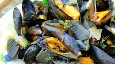 Waste Seashells can Solve Waste Water Problem