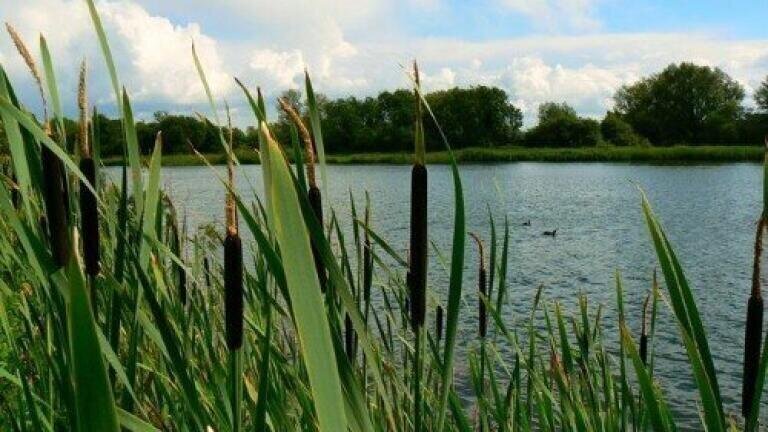 Water quality throughout EU found to be improved