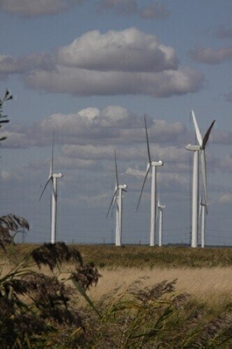 UK green energy is thriving, says Ed Davey