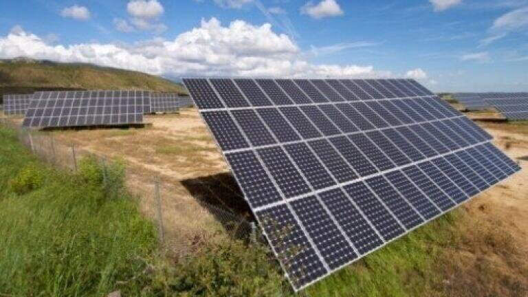 Pickles blocks solar farm
