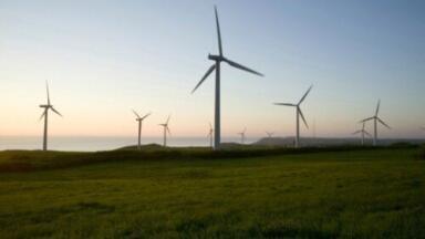 Green energy given boost by wind farm extension