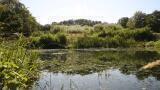 Brewery Supports Business Expansion and Protects Natural Environment with new WastewaterTreatment System 