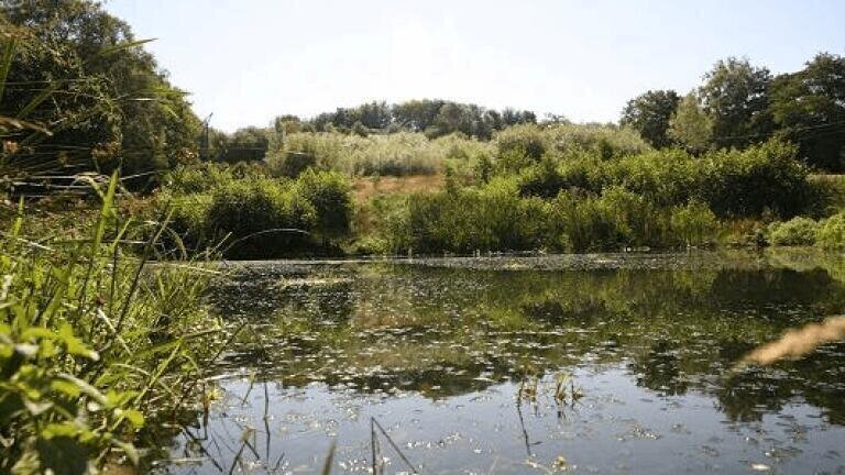 Brewery Supports Business Expansion and Protects Natural Environment with new WastewaterTreatment System 