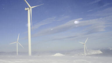 Monitoring the World's Northernmost Wind Farms