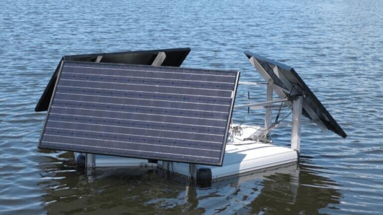 Lake in Poznan Shows Improved Water Quality as Result of European Cooperation